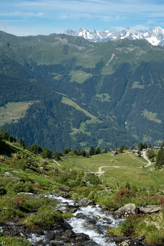 Photo verticale d'un ruisseau de montagne coulant vers la vallée au départ du Sentier des Chamois à La Chaux, Verbier en été.