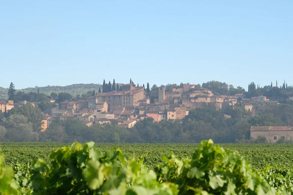 Vue panoramique horizontale du village de Carcès perché sur sa colline, avec des rangées de vignes verdoyantes en premier plan.