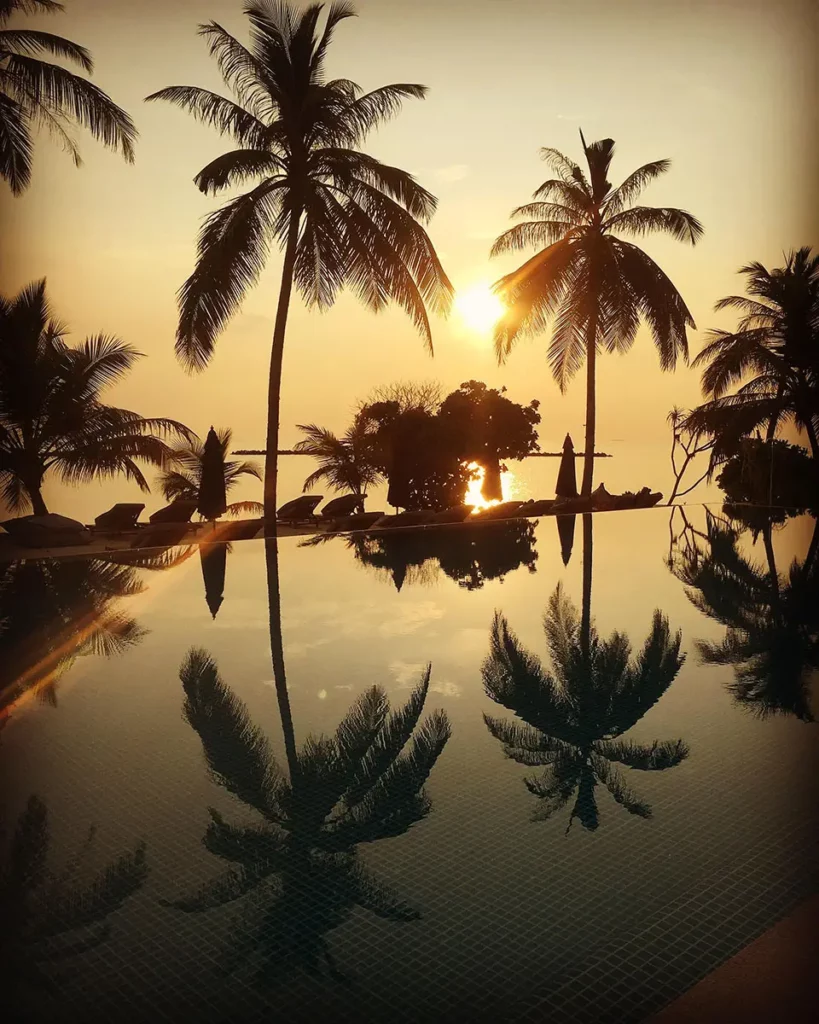 Reflets de palmiers en ombres chinoises sur la grande piscine d'Emerald Faarufushi sous la lumière dorée du coucher de soleil.