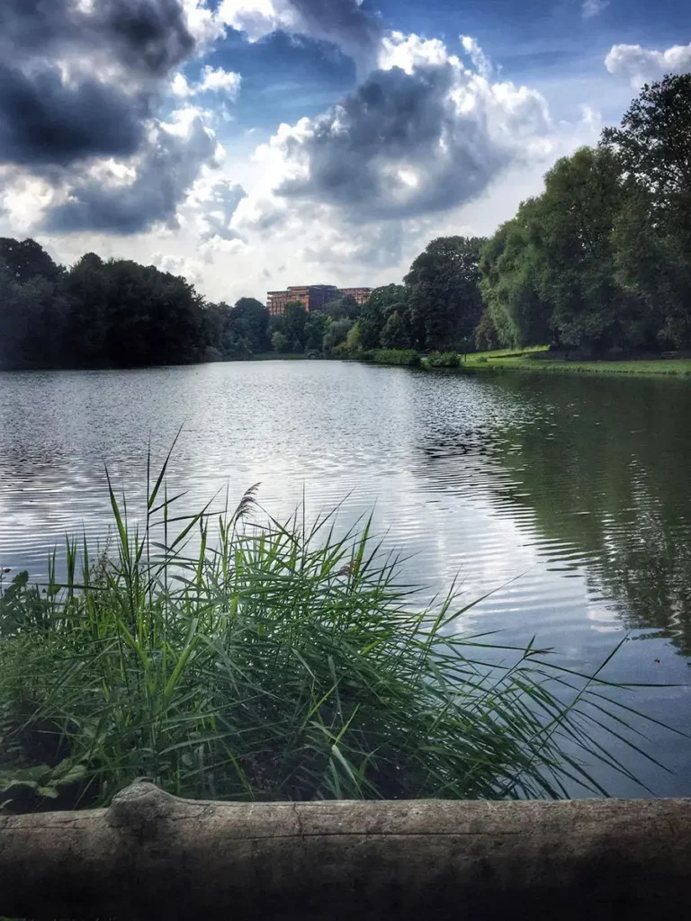 Vue en hauteur des étangs de Watermael-Boitsfort bordés d'une végétation dense, avec le bâtiment moderniste du Mix (ex-Royale Belge) en arrière-plan.