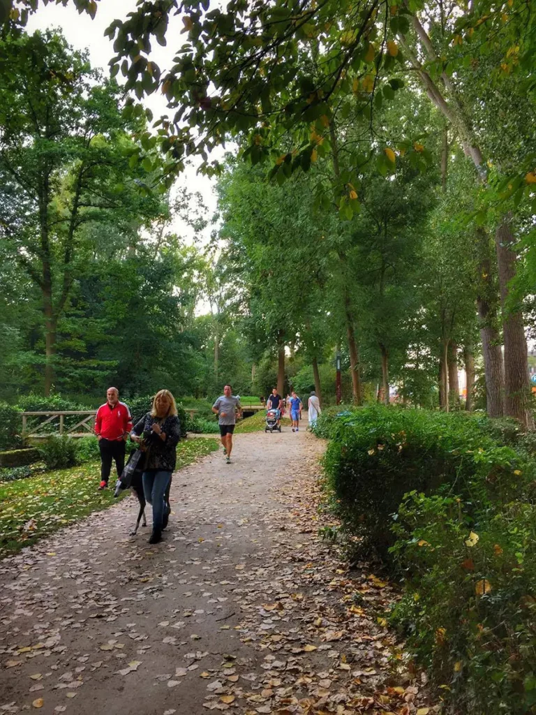Vue en hauteur du sentier plat et damé de la Promenade Verte longeant le boulevard de la Woluwe à Woluwe-Saint-Lambert, avec des joggeurs et des promeneurs.