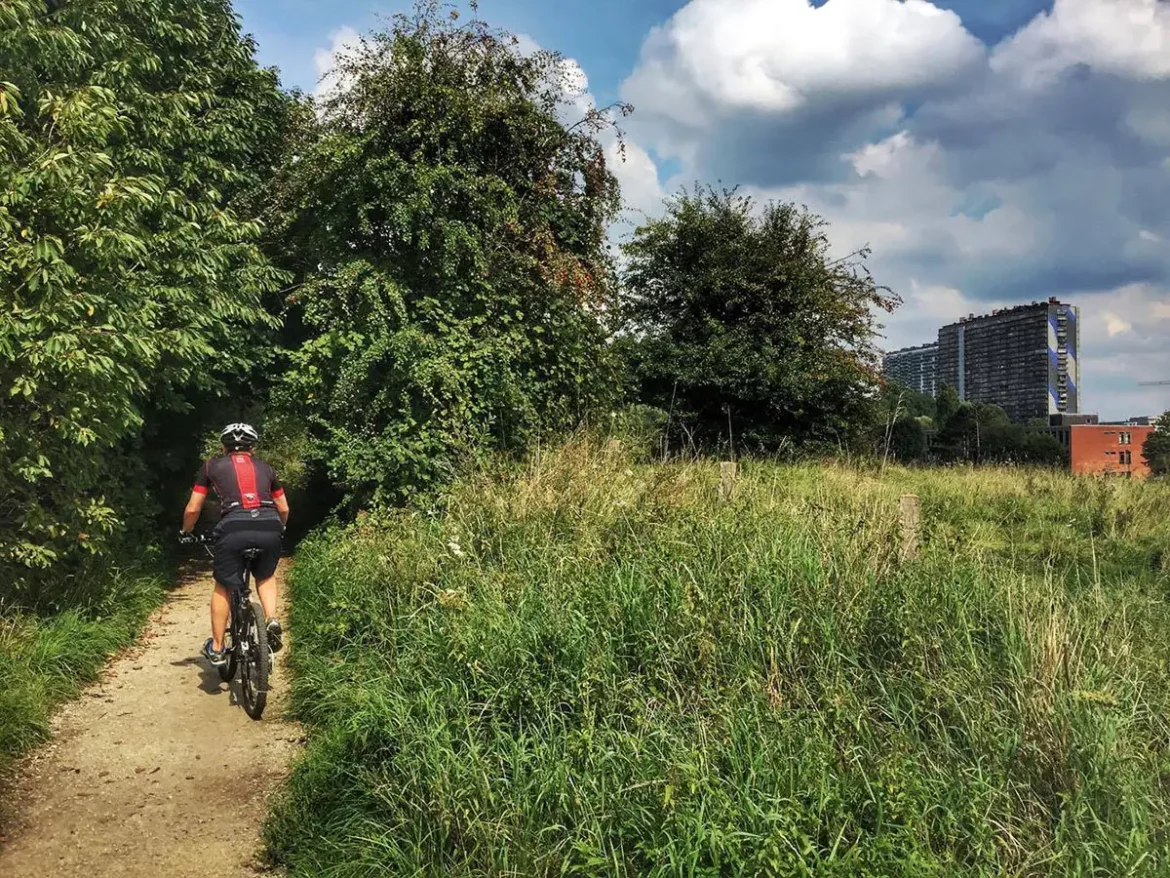 Cycliste de dos grimpant le sentier de la Promenade Verte au cœur du parc du Scheutbos à Molenbeek-Saint-Jean, entouré d'une nature préservée.