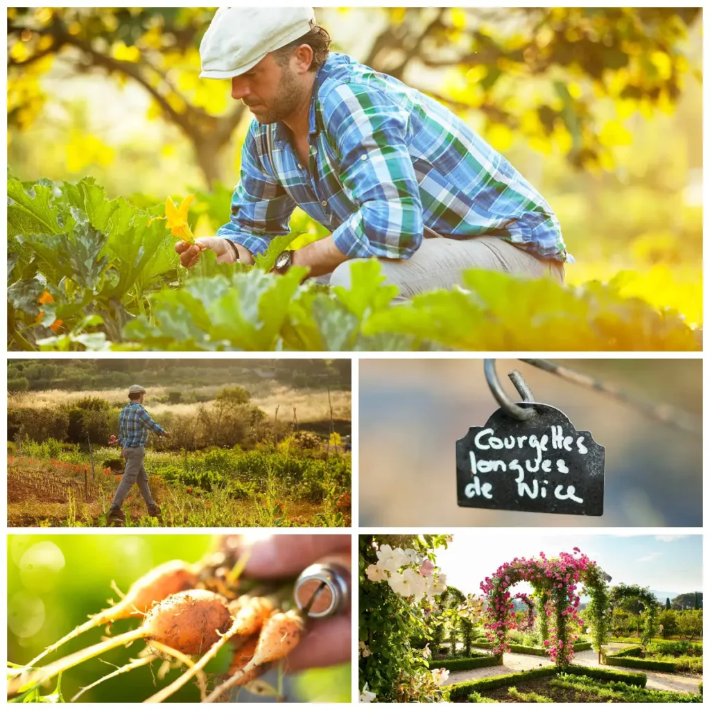 Le magnifique potager de l'Hostellerie Bérard devenu celui de la Bastide des Saveurs avec le chef Jean-François Bérard.