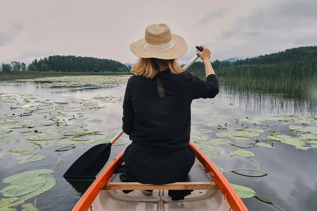 Vue depuis un canoë sur le lac intermittent de Cerknica avec des nénuphars, une étape nature lors d'un road-trip en Slovénie.
