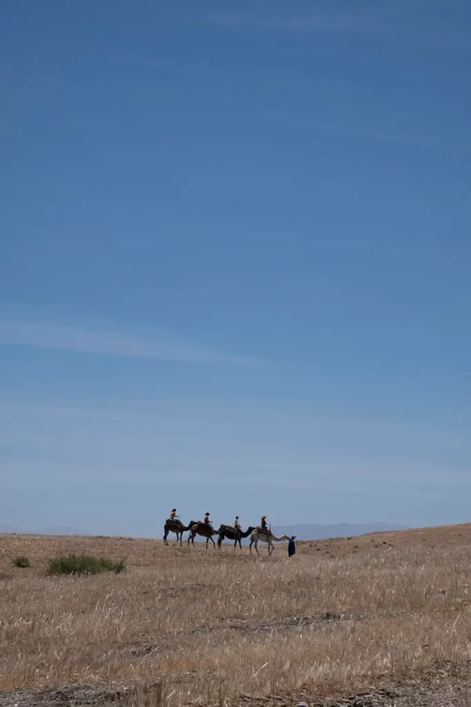 Caravane de dromadaires et visiteurs sur fond d'herbes sèches et de ciel bleu au désert d'Agafay à Terre des Étoiles