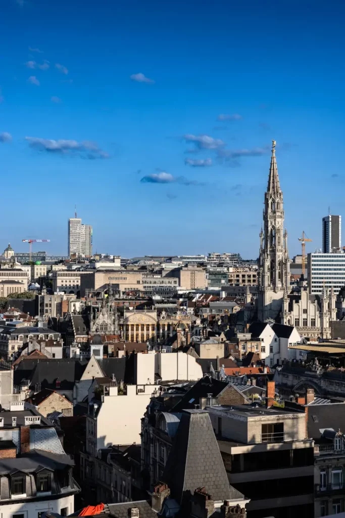 Vue au téléobjectif depuis le rooftop 58 sur les toits de Bruxelles et les monuments emblématiques