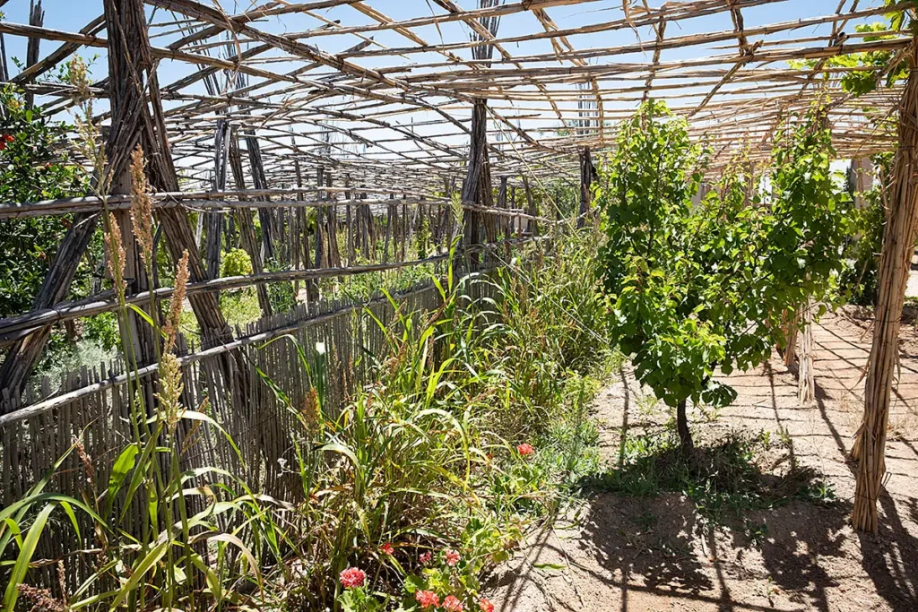 Structure en bambou du potager en permaculture abritant les cultures au domaine Terre des Étoiles dans le désert d'Agafay