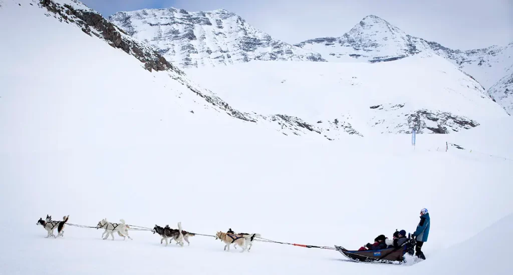 Attelage de chiens de traîneaux en action sur le plateau de Rocherousse à Orcières Merlette 1850 dans les Hautes-Alpes